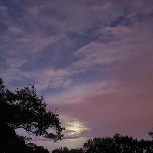 God Wants to Teach the World to Sing