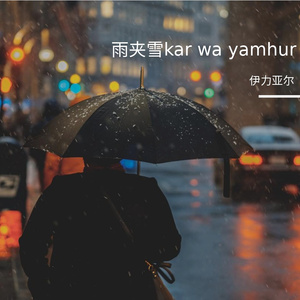 sleet（雨夹雪）