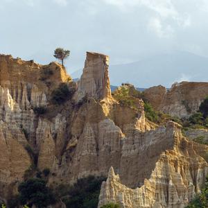 今生无缘来生再聚