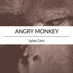 Angry Monkey