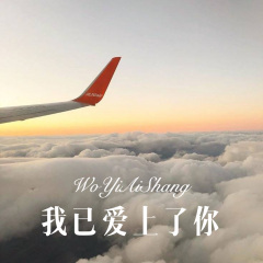 落叶无痕 (Remix)