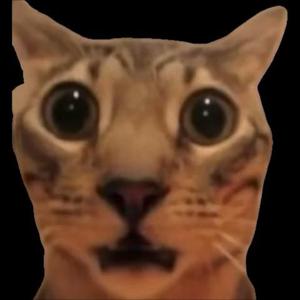 killin' it girl (sped up)