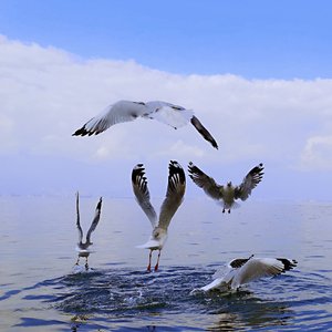 Still the mic（Prod by AtomBoii）