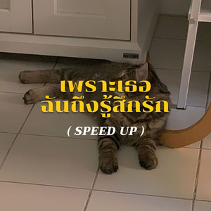 เพราะเธอฉันถึงรู้สึกรัก (Sped Up)