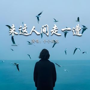 来这人间走一遭