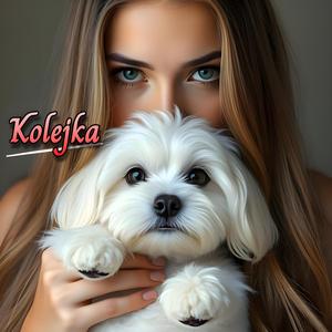 Kolejka