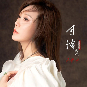 可怜天下父母心 (伴奏)