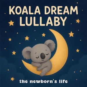 Koala Dream Lullaby