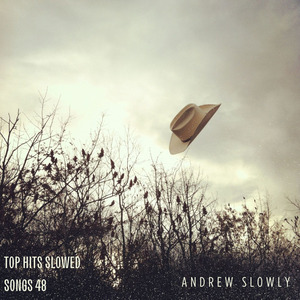 mirandote (Slowed + Reverb)