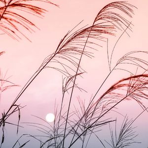 我希望今年比初雪先来的是你