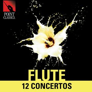 Flute Concerto in D Major, Cw C79: III. Allegretto