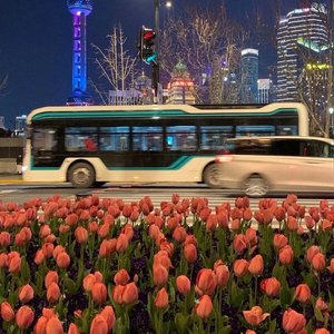 走着走着花就开了（完整版）