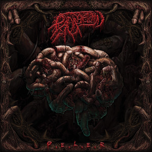 Pasukan Pemburu Memek (New Version)