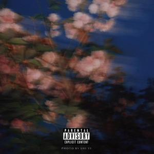 献给阿尔吉侬的花束