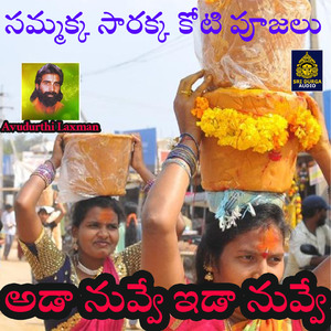 Ada Nuvve ida Nuvve (Sammakka Sarakka Koti Pujalu)