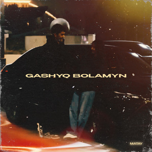 Gashyq bolamyn