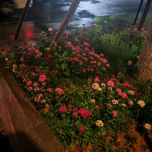 午夜随笔(prod.Yn1Jasper)