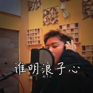 谁明浪子心 (DJ版伴奏)