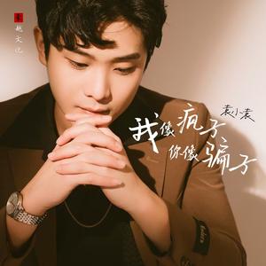 我像疯子你像骗子