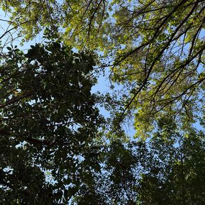 春色悠悠不及你荡漾