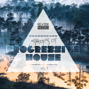 Ready for You (DJ Observer Remix)