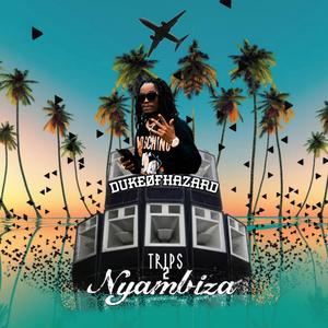 Found Vibe (feat. DiyaLi)