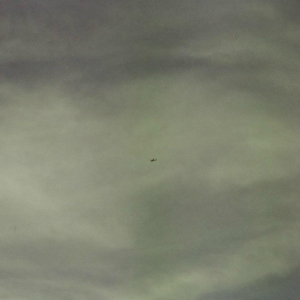 Portland (For Selena)