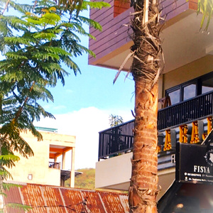 Kabar Riang (vos Fisya, Jangan Terlambat)