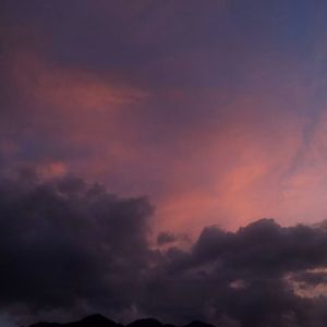 YNG(Prod Daisy Beat)