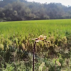 我是一个机器人