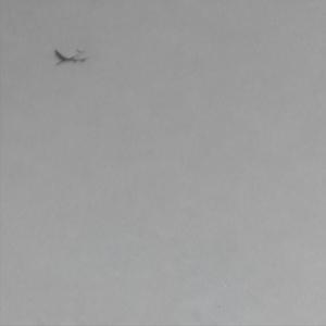 Man Who Stopped at Nothing