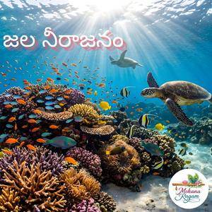 జల నీరాజనం