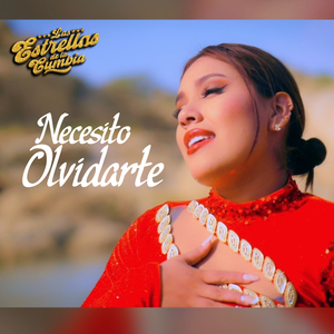 Necesito Olvidarte