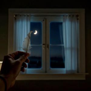 Nocturne for the Crescent Moon