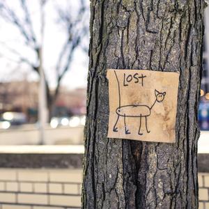 Lost