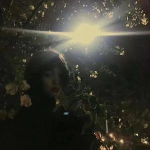 我不会再这样偷偷想你