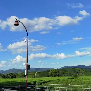 我愿意平凡的陪在你身旁