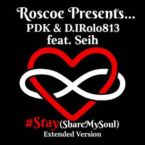 Stay (Share My Soul) (Extended Version)