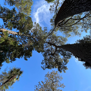 Dans la trap (tay20k)