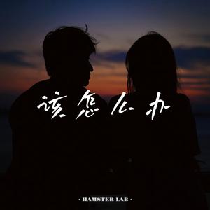 该怎么办 - R&B乐队男声