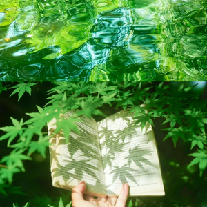 大自然的语言丨日落橘海