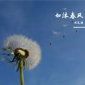 如沐春风