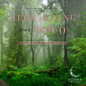 855-807 (Djungelljud)