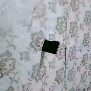 森林里的自由时光
