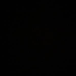 Dirt dan (feat. Mr.wackthefro)