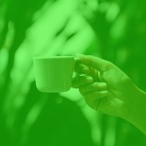 一尘不染午餐印象数