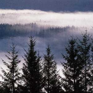 看我不爽就揍我