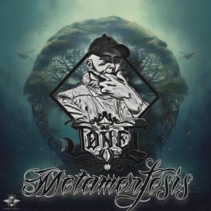 Trapficando (feat. Chimpa)