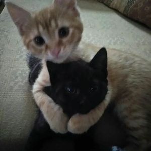 HeartbreakUnderCityLights w/alyx0712