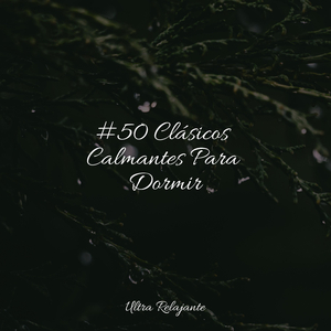 Iluminaciones Instrumentales